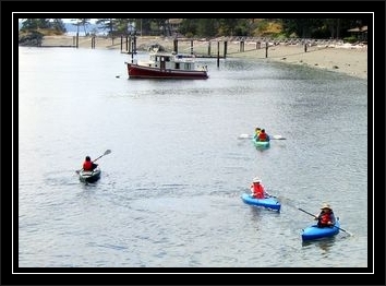 kayaking in the
                bay